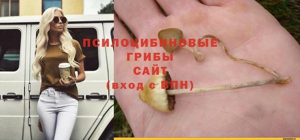 a pvp Горно-Алтайск
