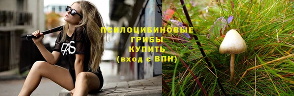 эйфоретик Гусев