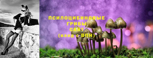 эйфоретик Гусев