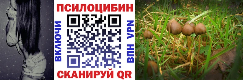 кракен вход  Жигулёвск  Псилоцибиновые грибы прущие грибы 