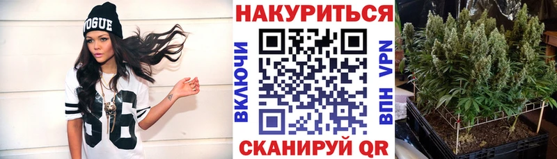 Конопля план  Жигулёвск 